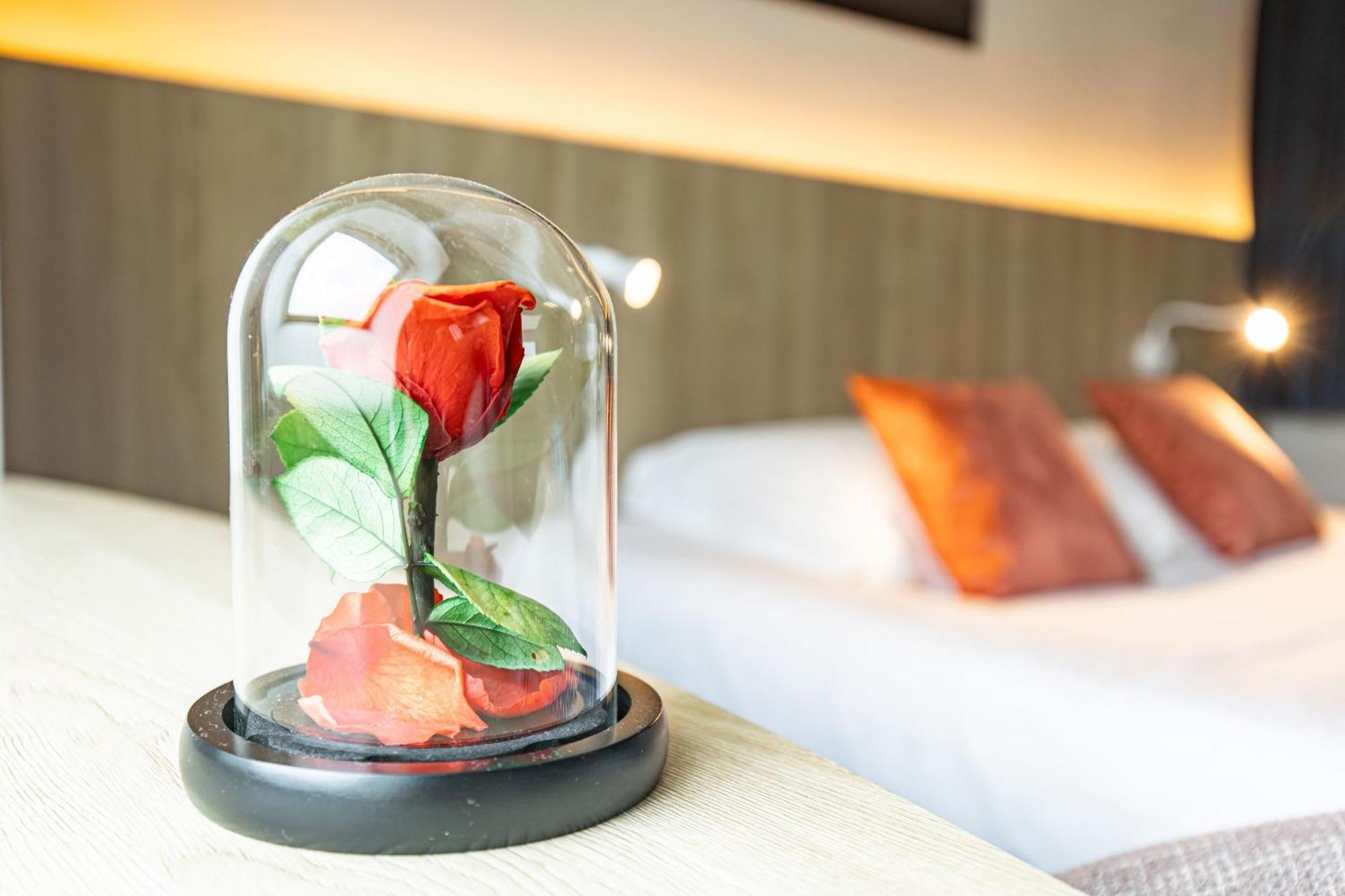 Hotel De France กามาเร-โซร์-แม ภายนอก รูปภาพ